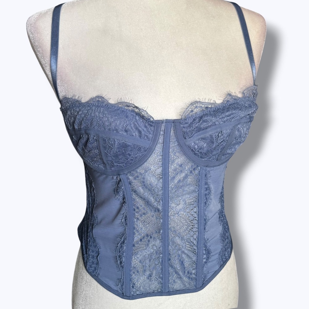 Dusty Blue Bustier Corset Mesh Lace Feminine Boudoir Large Pastel Romantic